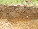 Thumbnail of NW – facing section of SSH [4009]