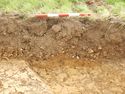 Thumbnail of NW – facing section of SSH [4009]