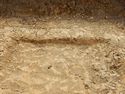Thumbnail of NW – facing section of SSH [4007]