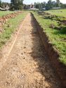Thumbnail of SE-facing trench shot of SSH09