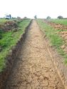 Thumbnail of NW-facing trench shot of SSH09