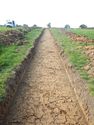 Thumbnail of NW-facing trench shot of SSH09