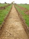 Thumbnail of NW-facing trench shot of SSH10