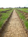 Thumbnail of SW-facing trench shot of SSH07