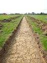 Thumbnail of SW-facing trench shot of SSH07