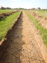 Thumbnail of SW-facing trench shot of SSH08