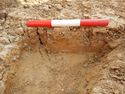 Thumbnail of NW – facing section of SSH [17005]