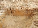 Thumbnail of NW – facing section of SSH [17005]