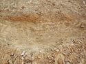 Thumbnail of NW – facing section of SSH [13007]