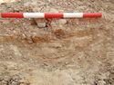 Thumbnail of NW – facing section of SSH [13003]