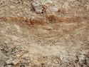 Thumbnail of NW – facing section of SSH [13003]