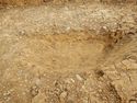 Thumbnail of NW – facing section of SSH [13009]