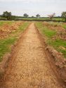 Thumbnail of NW-facing trench shot of SSH14