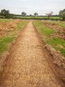 Thumbnail of NW-facing trench shot of SSH14