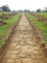 Thumbnail of SE-facing trench shot of SSH14