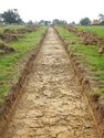 Thumbnail of SE-facing trench shot of SSH14