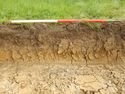 Thumbnail of SW- facing representative section of SSH14