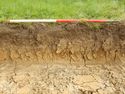 Thumbnail of SW- facing representative section of SSH14