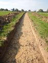 Thumbnail of NW-facing trench shot of SSH17