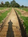 Thumbnail of NE-facing trench shot of SSH11