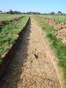 Thumbnail of SW-facing trench shot of SSH12