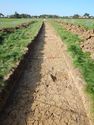 Thumbnail of SW-facing trench shot of SSH12