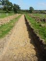 Thumbnail of NE-facing trench shot of SSH15