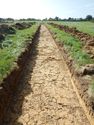 Thumbnail of SW-facing trench shot of SSH15