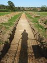 Thumbnail of NE-facing trench shot of SSH18