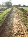 Thumbnail of SE-facing trench shot of SSH16