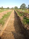 Thumbnail of NW-facing trench shot of SSH16