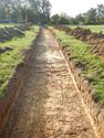 Thumbnail of SE-facing trench shot of SSH20