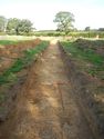 Thumbnail of NW-facing trench shot of SSH20