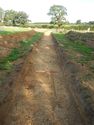 Thumbnail of NW-facing trench shot of SSH20