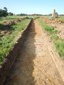 Thumbnail of SW-facing trench shot of SSH19