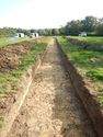 Thumbnail of NE-facing trench shot of SSH19