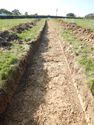 Thumbnail of NW-facing trench shot of SSA02