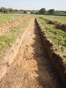 Thumbnail of SE-facing trench shot of SSA02