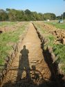 Thumbnail of NE-facing trench shot of SSA03