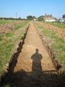 Thumbnail of NW-facing trench shot of SSA01