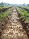 Thumbnail of SE-facing trench shot of SSA01