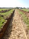 Thumbnail of SW-facing trench shot of SSA05