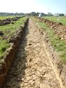 Thumbnail of SW-facing trench shot of SSA05