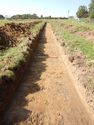 Thumbnail of W-facing trench shot of SSA14