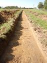 Thumbnail of W-facing trench shot of SSA14