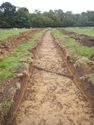 Thumbnail of NE-facing trench shot of SSA06