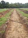 Thumbnail of NE-facing trench shot of SSA06