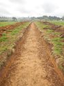 Thumbnail of Trench shot of SSA07