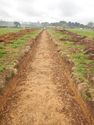Thumbnail of Trench shot of SSA07