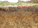 Thumbnail of NW – facing representative section of SSA07